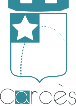 Soutien scolaire en ligne à CARCÈS (Var - 83)