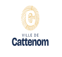 Soutien scolaire en ligne à CATTENOM (Moselle - 57)
